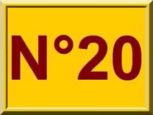 N 20